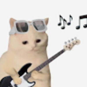 Meet your Posher, Elisha